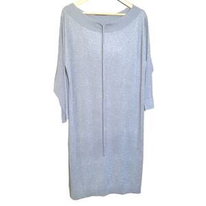 Zara Womens Silver Metalic Long Sleeve Sheer Dress Size Small NWT